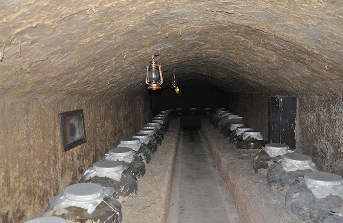 廠(chǎng)區基地