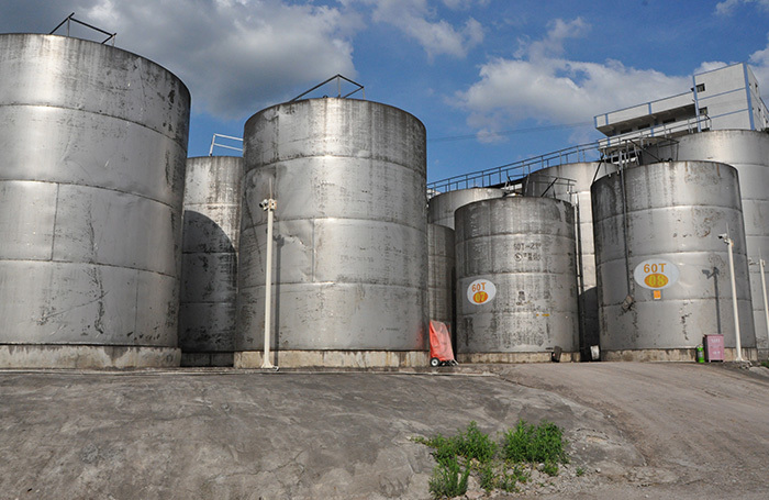 廠(chǎng)區基地