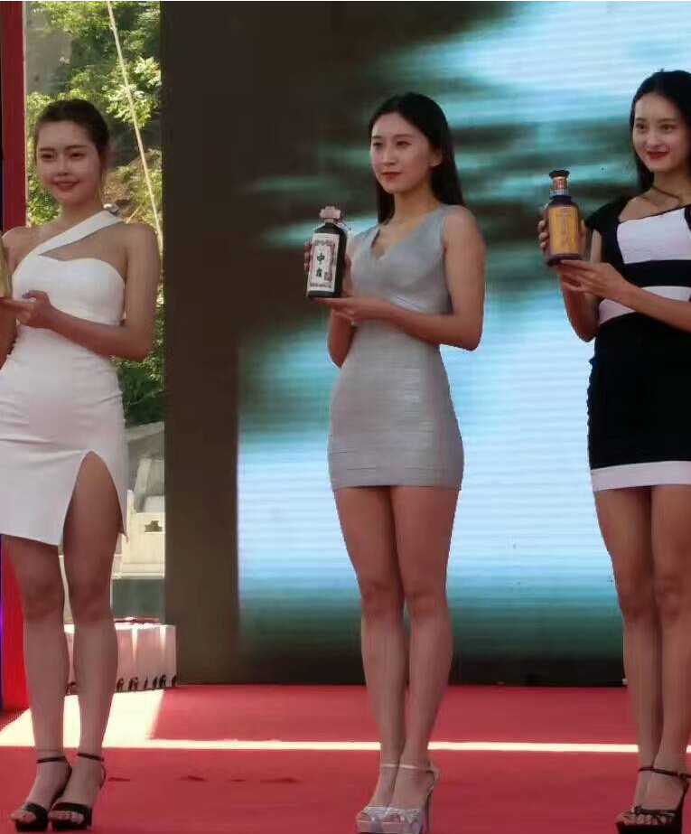 中國(guó)酒都(dōu)酒旅大(dà)會