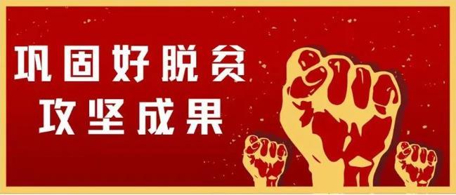 茅合集團：紮實開展“百企興百村”行動， 扛起助推鄉村振興的使命擔當