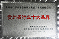 貴州省行業十大(dà)品牌